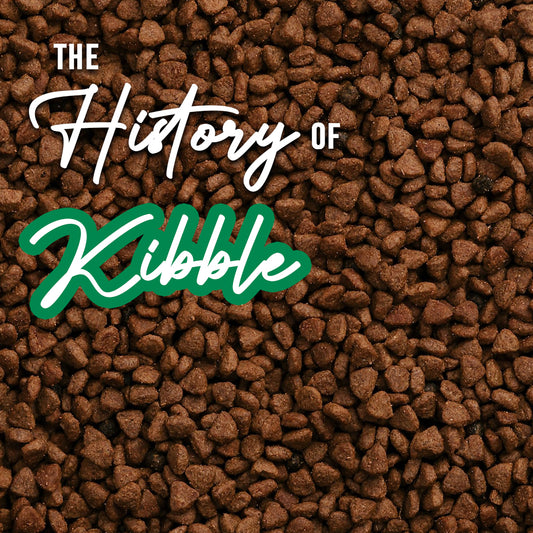 The History Of Kibble